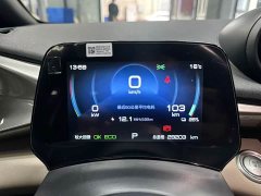 BYD Dolphin 420km Freedom Edition - ფოტო 15