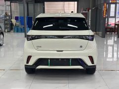 BYD Dolphin 420km Freedom Edition - ფოტო 5