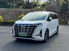 Denza BYD Denza D9 2022 DM-i 970 AWD Premium Edition - ფოტო 1