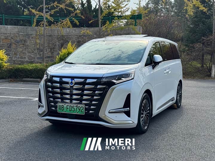 Denza D9 DM-i 970 AWD Premium Edition