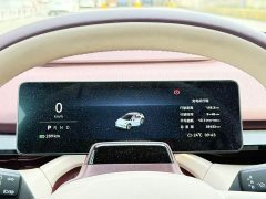 Zeekr X Rear-Wheel Drive YOU Edition 4-Seater - ფოტო 6