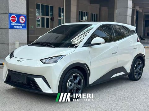2023 BYD Seagull Flying Edition - ავტომობილი ჩინეთიდან