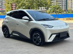 BYD Seagull Flying Edition - ფოტო 3