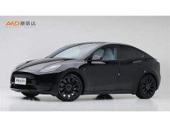 Tesla Model Y 2022 Performance All-Wheel Drive - ფოტო 1