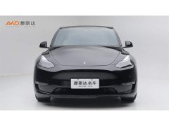 Tesla Model Y 2022 Performance All-Wheel Drive - ფოტო 2
