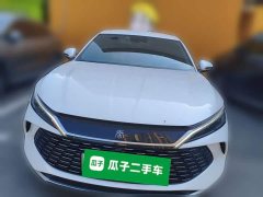 BYD Qin L 2024 DM-i 80KM Elite - ფოტო 2