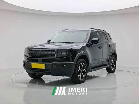 2024 Jetour Jietu Shanhai T1 150km Xianghai - ავტომობილი ჩინეთიდან