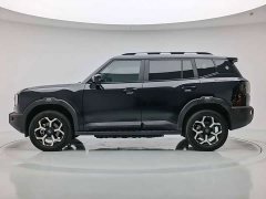 Jetour Jietu Shanhai T1 150km Xianghai - ფოტო 7