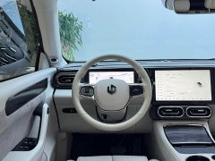 Leapmotor C11 2021 Facelift Luxury - ფოტო 8