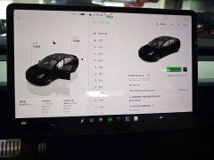 Tesla Model 3 Performance All-Wheel Drive - ფოტო 10