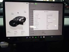 Tesla Model 3 Performance All-Wheel Drive - ფოტო 11