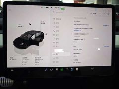 Tesla Model 3 Performance All-Wheel Drive - ფოტო 12