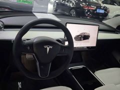 Tesla Model 3 Performance All-Wheel Drive - ფოტო 8