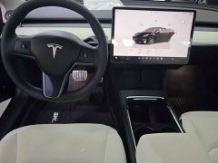 Tesla Model 3 Performance All-Wheel Drive - ფოტო 9