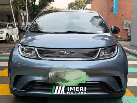 2024 BYD Dolphin 2025 420km Fashion Edition - ავტომობილი ჩინეთიდან