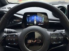 BYD Dolphin 2025 420km Fashion Edition - ფოტო 6
