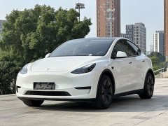 Tesla Model Y Rear-Wheel Drive - ფოტო 1