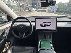 Tesla Model Y Rear-Wheel Drive - ფოტო 10