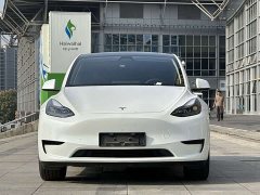 Tesla Model Y Rear-Wheel Drive - ფოტო 2