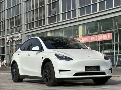 Tesla Model Y Rear-Wheel Drive - ფოტო 3