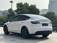 Tesla Model Y Rear-Wheel Drive - ფოტო 4
