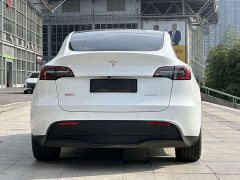 Tesla Model Y Rear-Wheel Drive - ფოტო 5