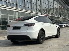 Tesla Model Y Rear-Wheel Drive - ფოტო 6