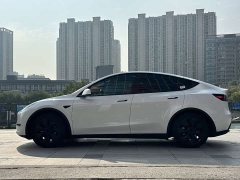 Tesla Model Y Rear-Wheel Drive - ფოტო 7