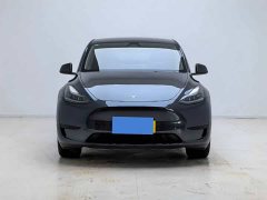 Tesla Model Y Rear-Wheel Drive - ფოტო 2