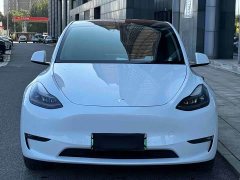 Tesla Model Y Long Range All-Wheel Drive 3D7 - ფოტო 1