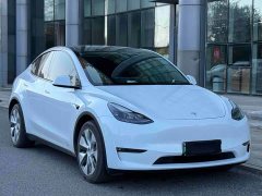 Tesla Model Y Long Range All-Wheel Drive 3D7 - ფოტო 2