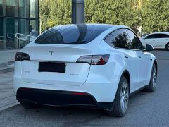 Tesla Model Y Long Range All-Wheel Drive 3D7 - ფოტო 3