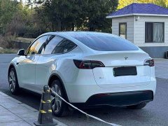 Tesla Model Y Long Range All-Wheel Drive 3D7 - ფოტო 5