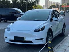 Tesla Model Y Long Range All-Wheel Drive 3D7 - ფოტო 9