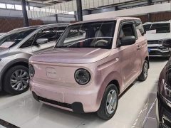 Geely Panda Mini 200km Endurance Edition - ფოტო 1