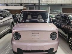 Geely Panda Mini 200km Endurance Edition - ფოტო 2