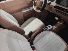 Geely Panda Mini 200km Endurance Edition - ფოტო 4