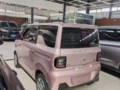 Geely Panda Mini 200km Endurance Edition - ფოტო 7