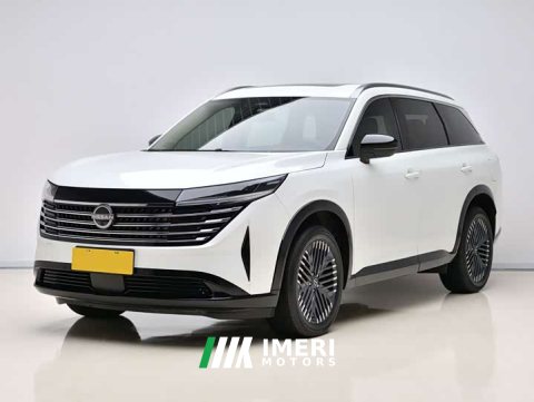 2024 Nissan Tanlù 380VC-TURBO AWD Smart Premium Edition 6-Seater - ავტომობილი ჩინეთიდან
