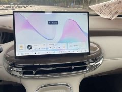 Wuling Bingo Pro 403km Exclusive Edition - ფოტო 14