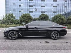 BMW 5 Series Facelift 530Li Premier M Sport Package - ფოტო 7