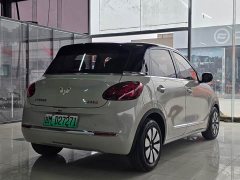 Wuling Binguo 2023 333km Quick Enjoy Edition - ფოტო 12