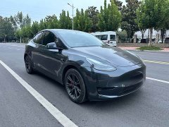 Tesla Model Y 2023 Rear-Wheel Drive - ფოტო 1