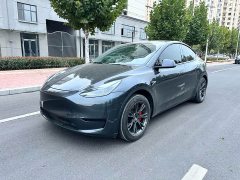 Tesla Model Y 2023 Rear-Wheel Drive - ფოტო 2