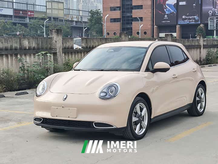 ORA Good Cat 401km Standard Range Luxury LFP - ავტომობილი ჩინეთიდან