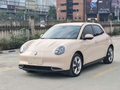 ORA Good Cat 401km Standard Range Luxury LFP - ფოტო 1