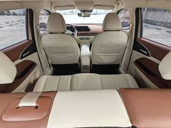 ORA Good Cat 401km Standard Range Luxury LFP - ფოტო 10