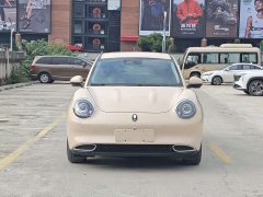 ORA Good Cat 401km Standard Range Luxury LFP - ფოტო 2