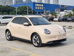 ORA Good Cat 401km Standard Range Luxury LFP - ფოტო 3