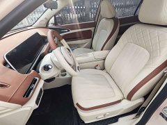 ORA Good Cat 401km Standard Range Luxury LFP - ფოტო 8